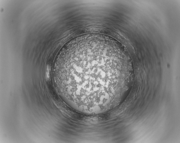 X0000087020075200705071520