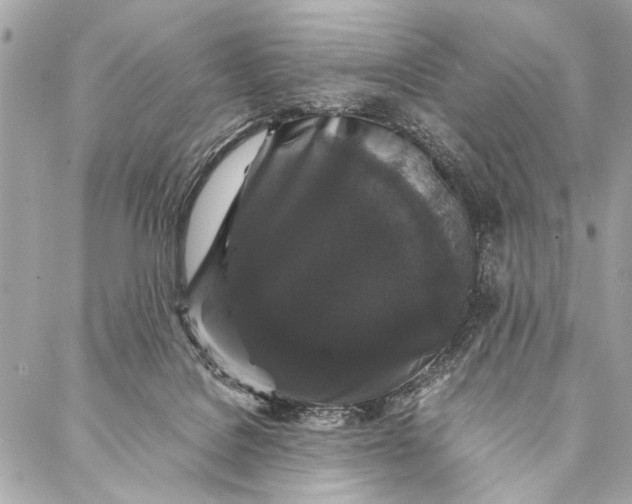 X0000087020076200705071520