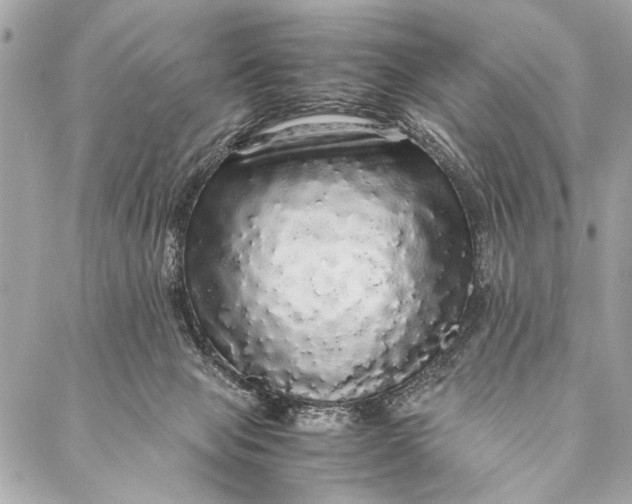 X0000087020077200705071520