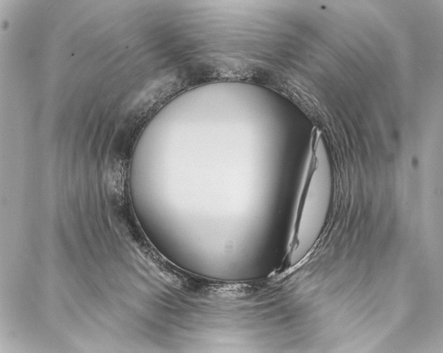 X0000087020078200705071520