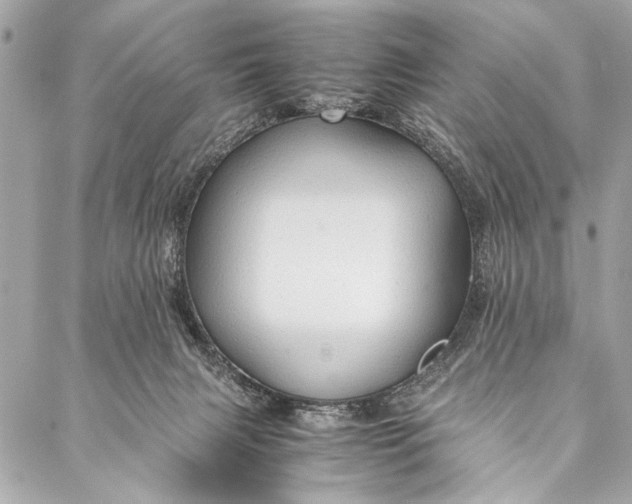 X0000087020079200705071520