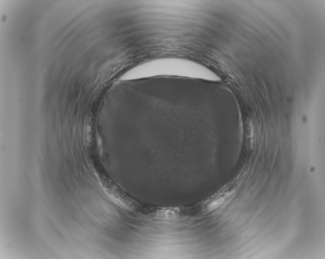 X0000087020080200705071520