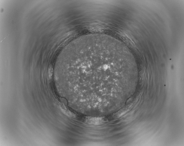 X0000087020081200705071520