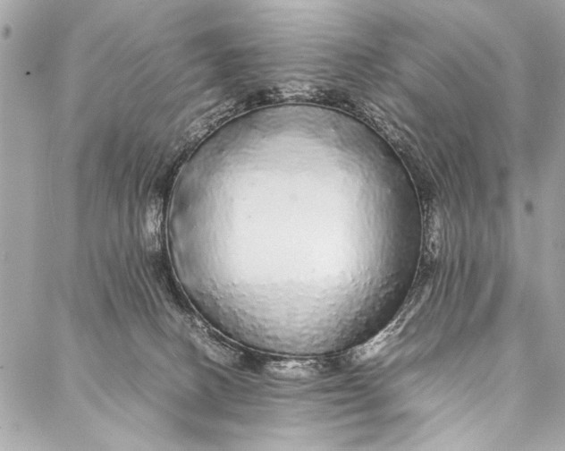 X0000087020082200705071520