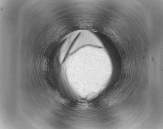 X0000087020083200705071520