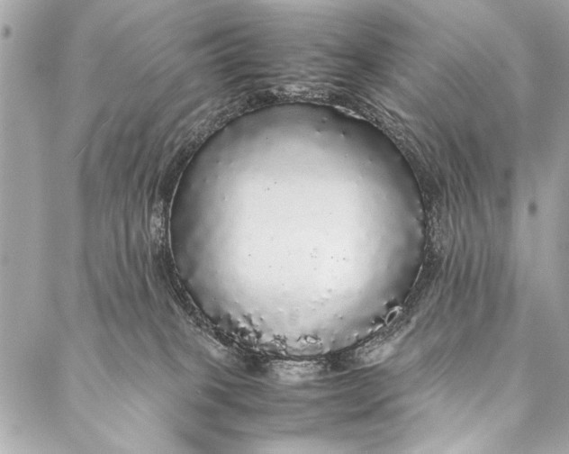 X0000087020085200705071520