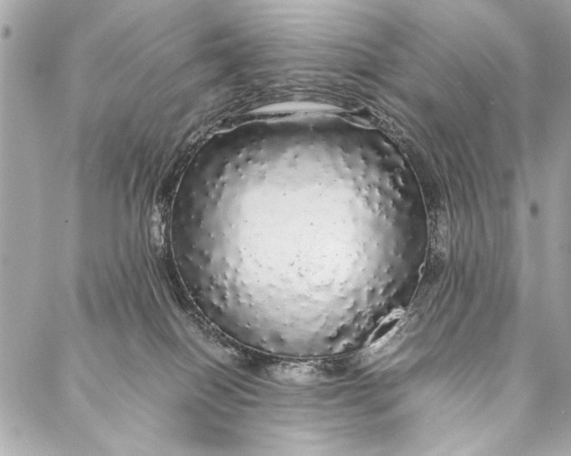 X0000087020086200705071520