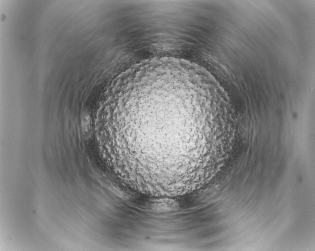 X0000087020087200705071520