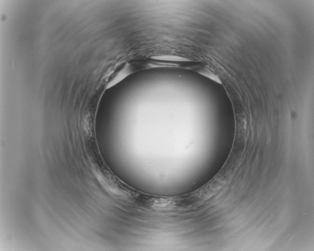 X0000087020088200705071520