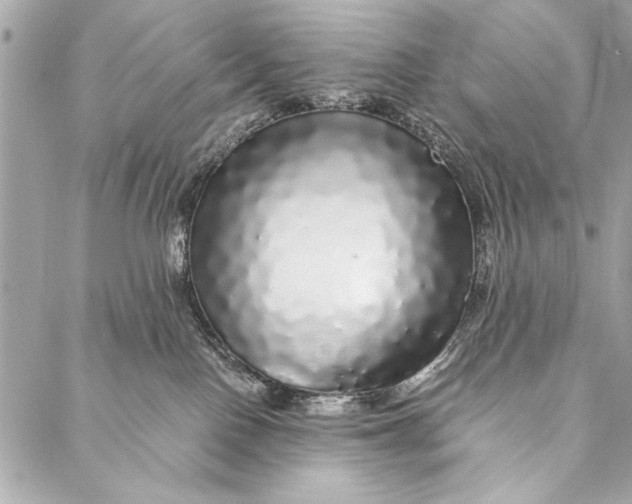 X0000087020090200705071520