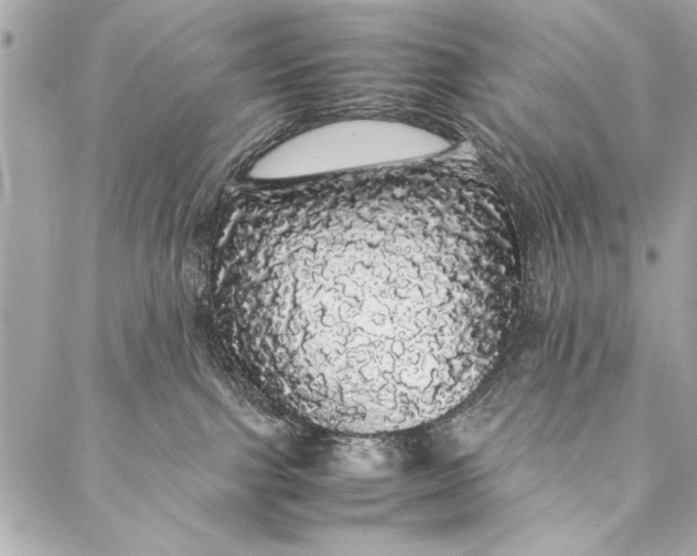 X0000087020091200705071520