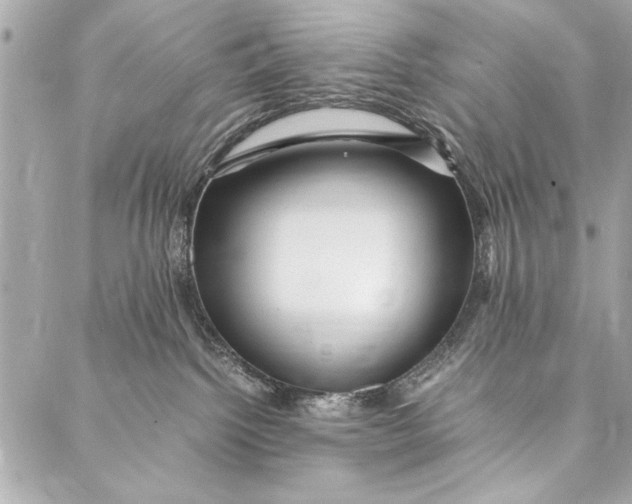 X0000087020092200705071520