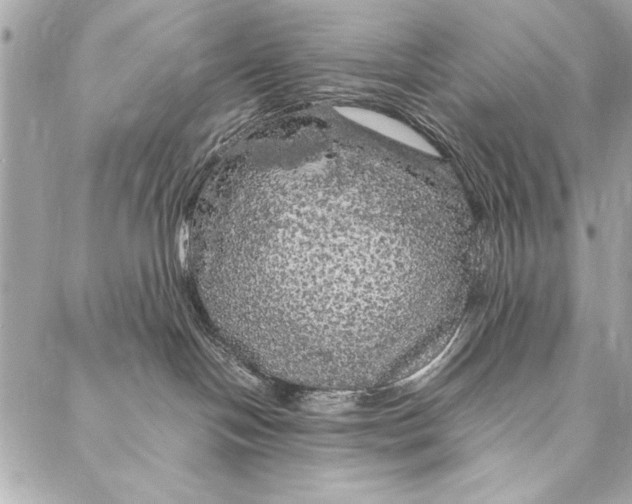 X0000087020094200705071520