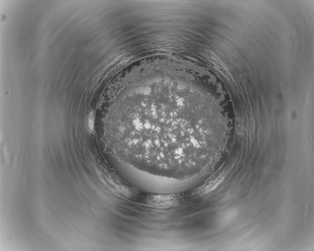 X0000087020095200705071520