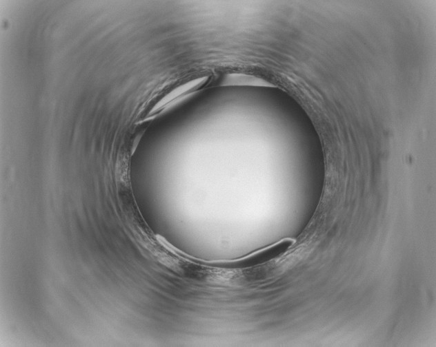 X0000087020096200705071520