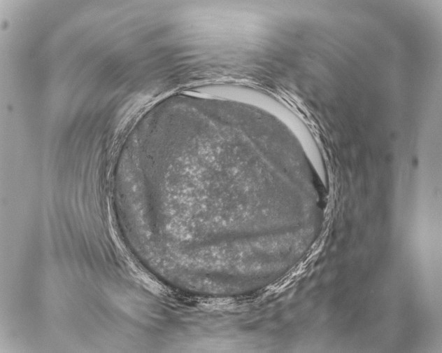 X0000087020097200705071519