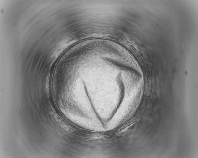 X0000087020098200705071519