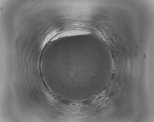 X0000087020099200705071519