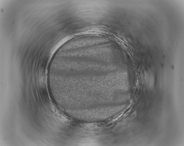 X0000087020100200705071519