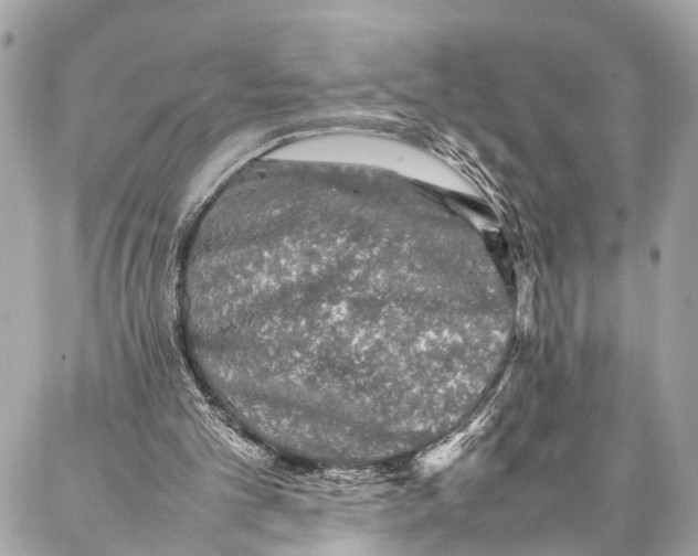 X0000087020101200705071519