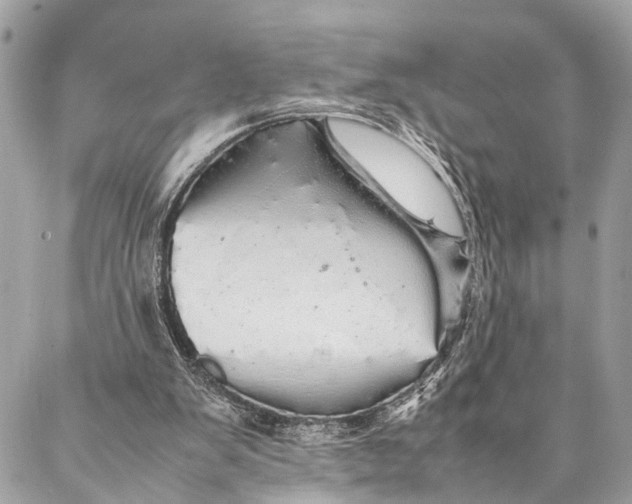 X0000087020103200705071519