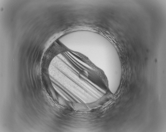 X0000087020104200705071519