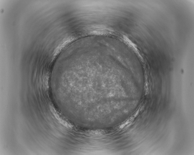 X0000087020106200705071519