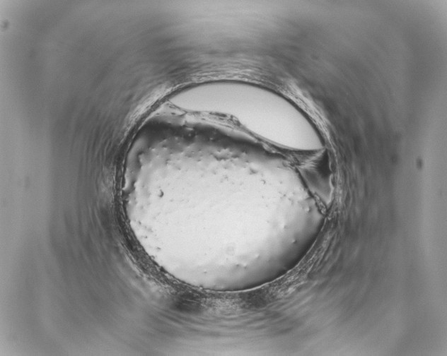 X0000087020107200705071519