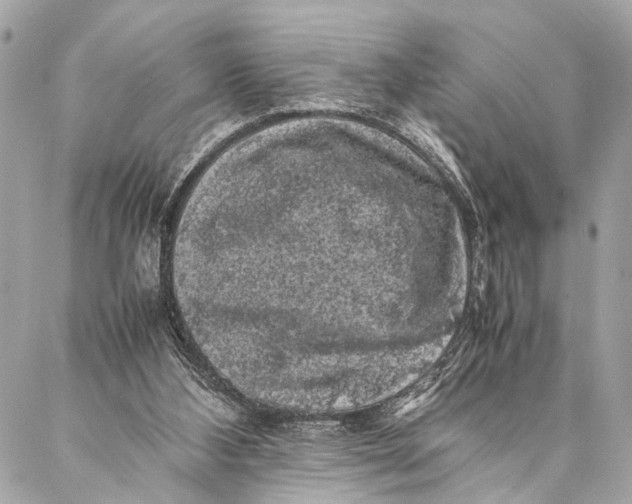 X0000087020108200705071519