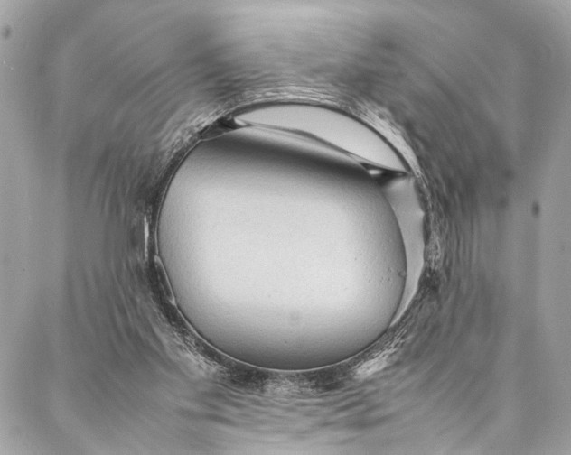 X0000087020109200705071519