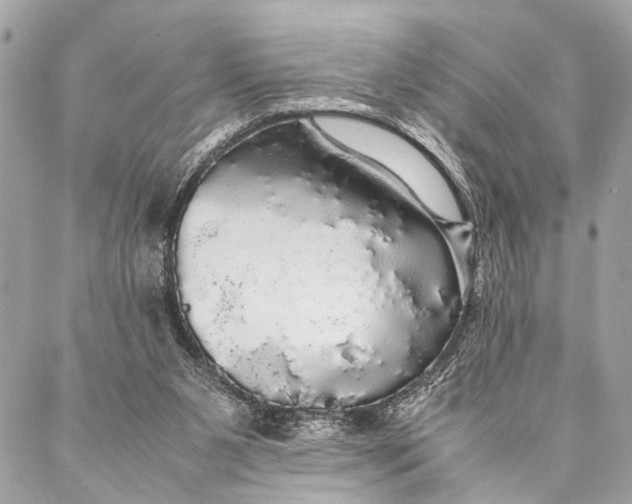 X0000087020111200705071519