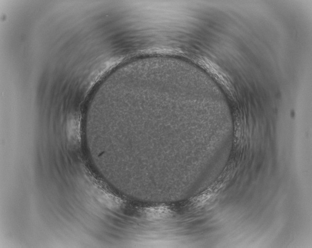 X0000087020112200705071519