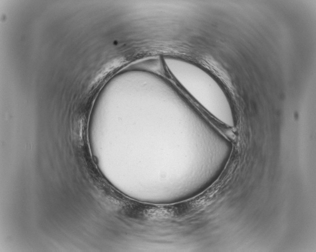 X0000087020115200705071519