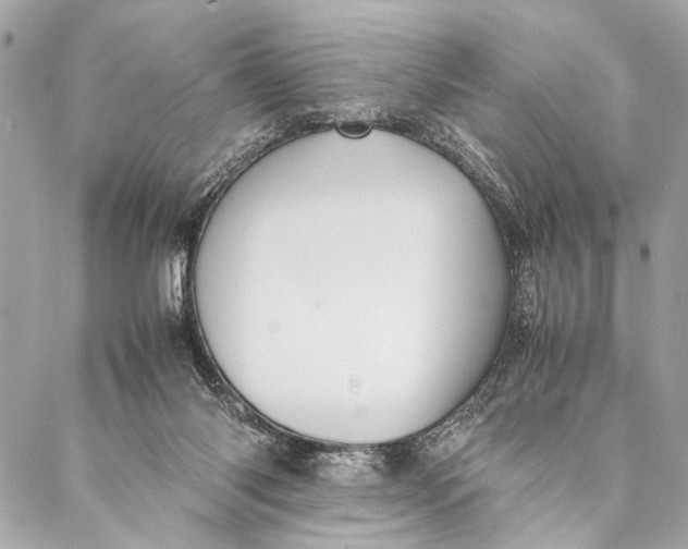 X0000087020118200705071519