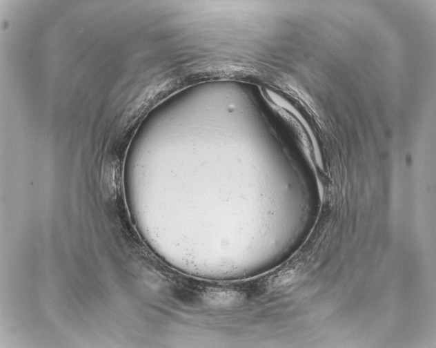 X0000087020119200705071519