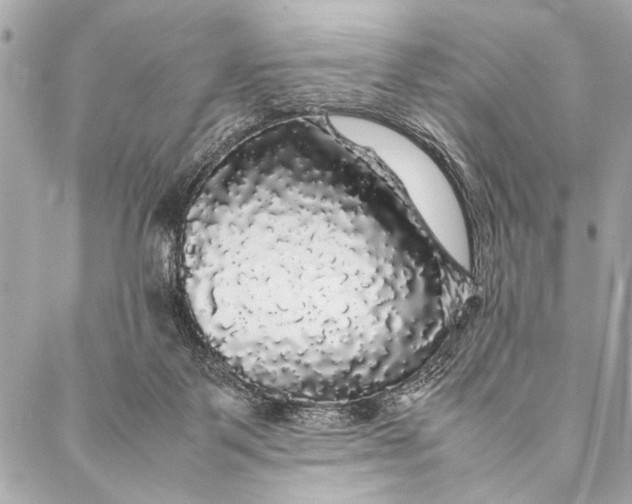 X0000087020123200705071519