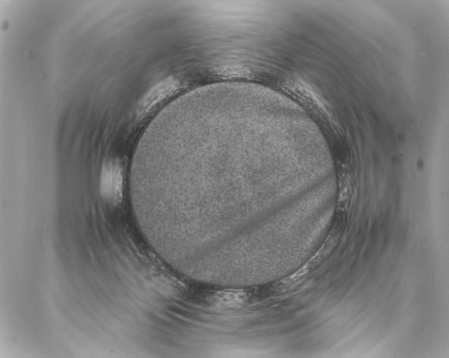 X0000087020124200705071519