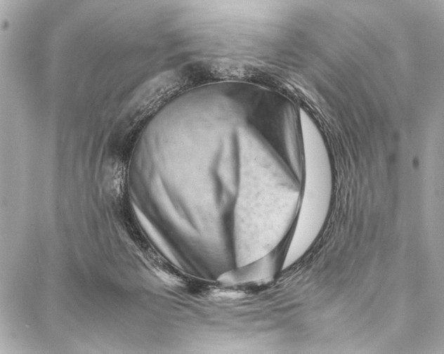 X0000087020125200705071519