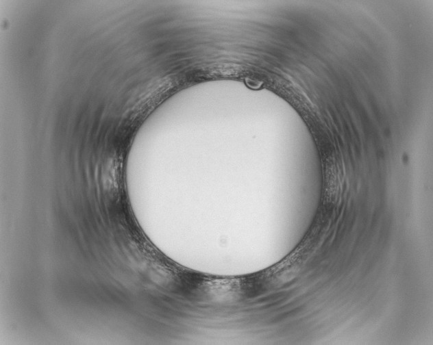 X0000087020126200705071519