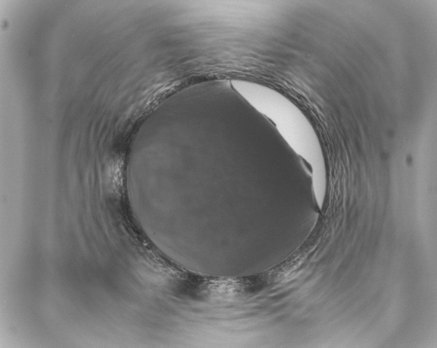 X0000087020127200705071519