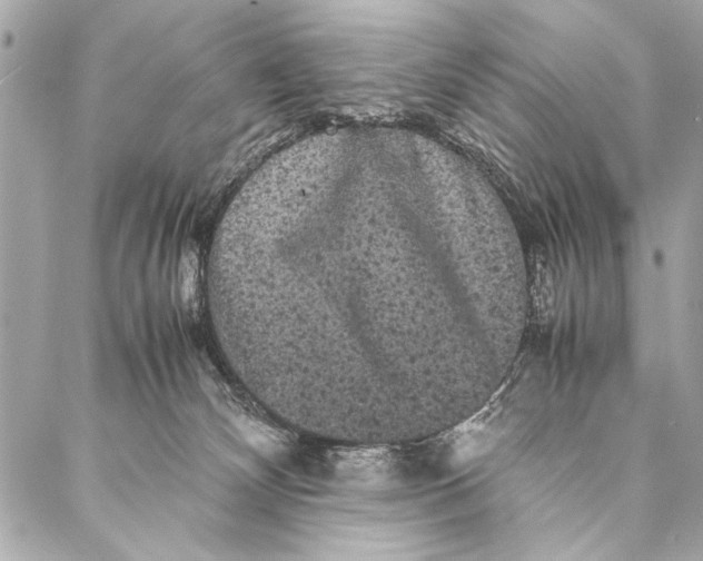 X0000087020132200705071519