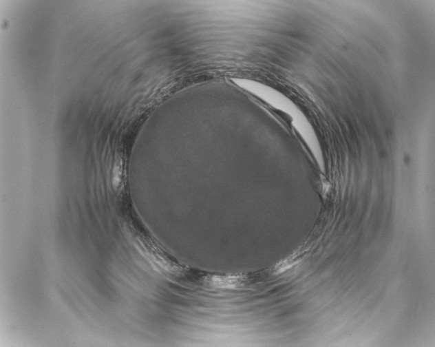 X0000087020134200705071519