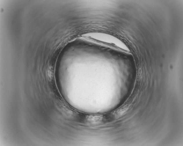 X0000087020135200705071519