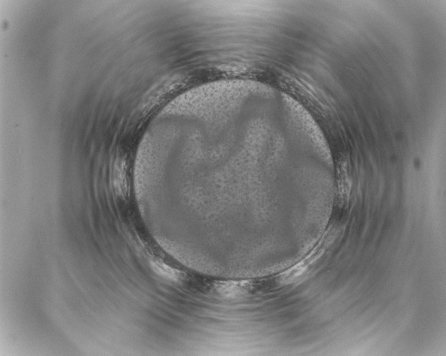 X0000087020136200705071519