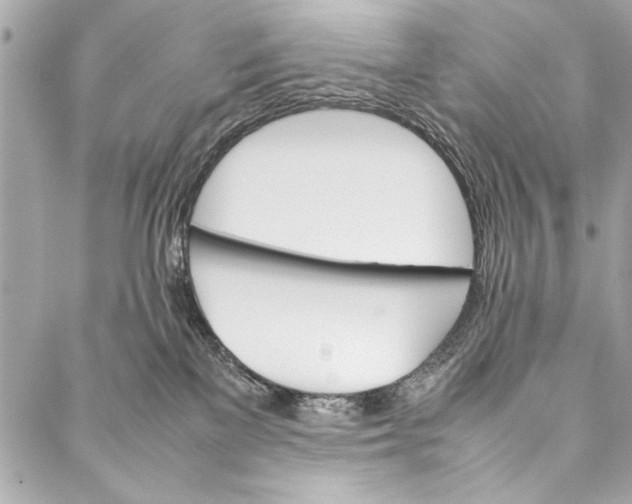 X0000087020137200705071519