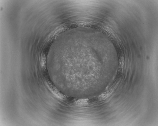 X0000087020138200705071519