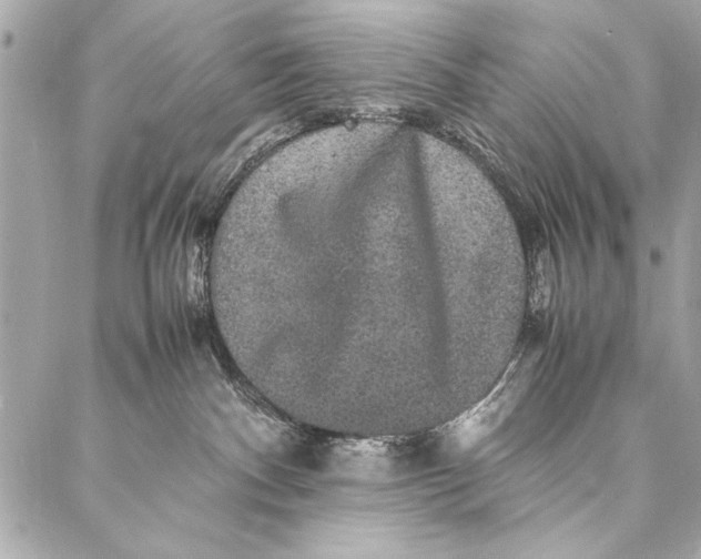 X0000087020140200705071519