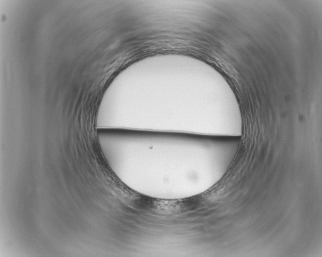 X0000087020141200705071519