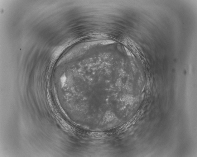 X0000087020145200705071518