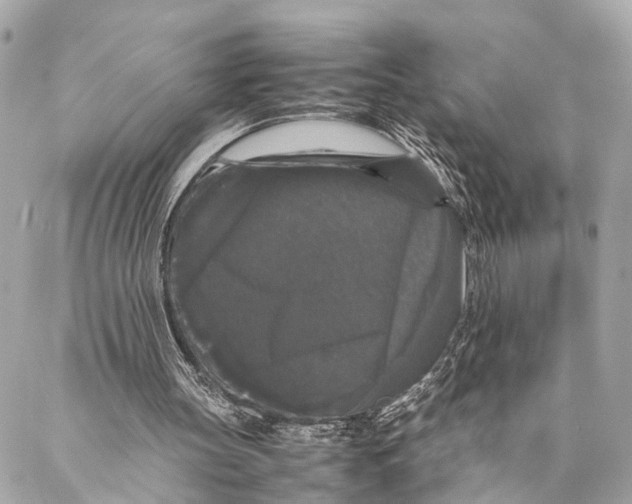 X0000087020147200705071518